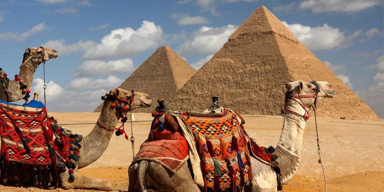 Kamele vor Pyramide