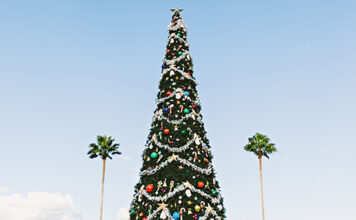 Kerstboom? Palmboom!