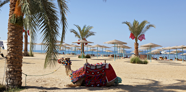Three Corners, Egypte