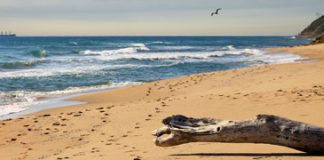Van het bruisende Zonnestrand tot het rustige Pomorie in Bulgarije