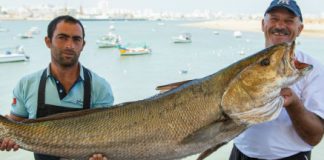 wat eet men in portugal