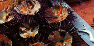 Top 10 vreemdste Europese gerechten