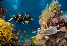 De 8 mooiste duikbestemmingen